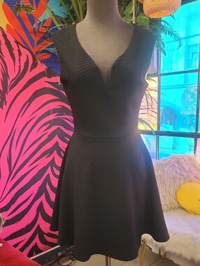 Sleeveless Black V-Neck Fit & Flare Mini Dress